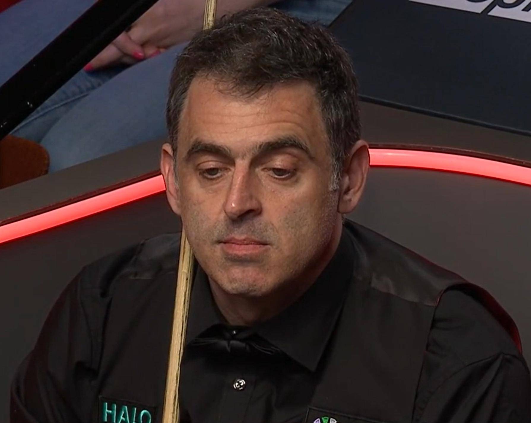 市运动盛会 市运动盛会