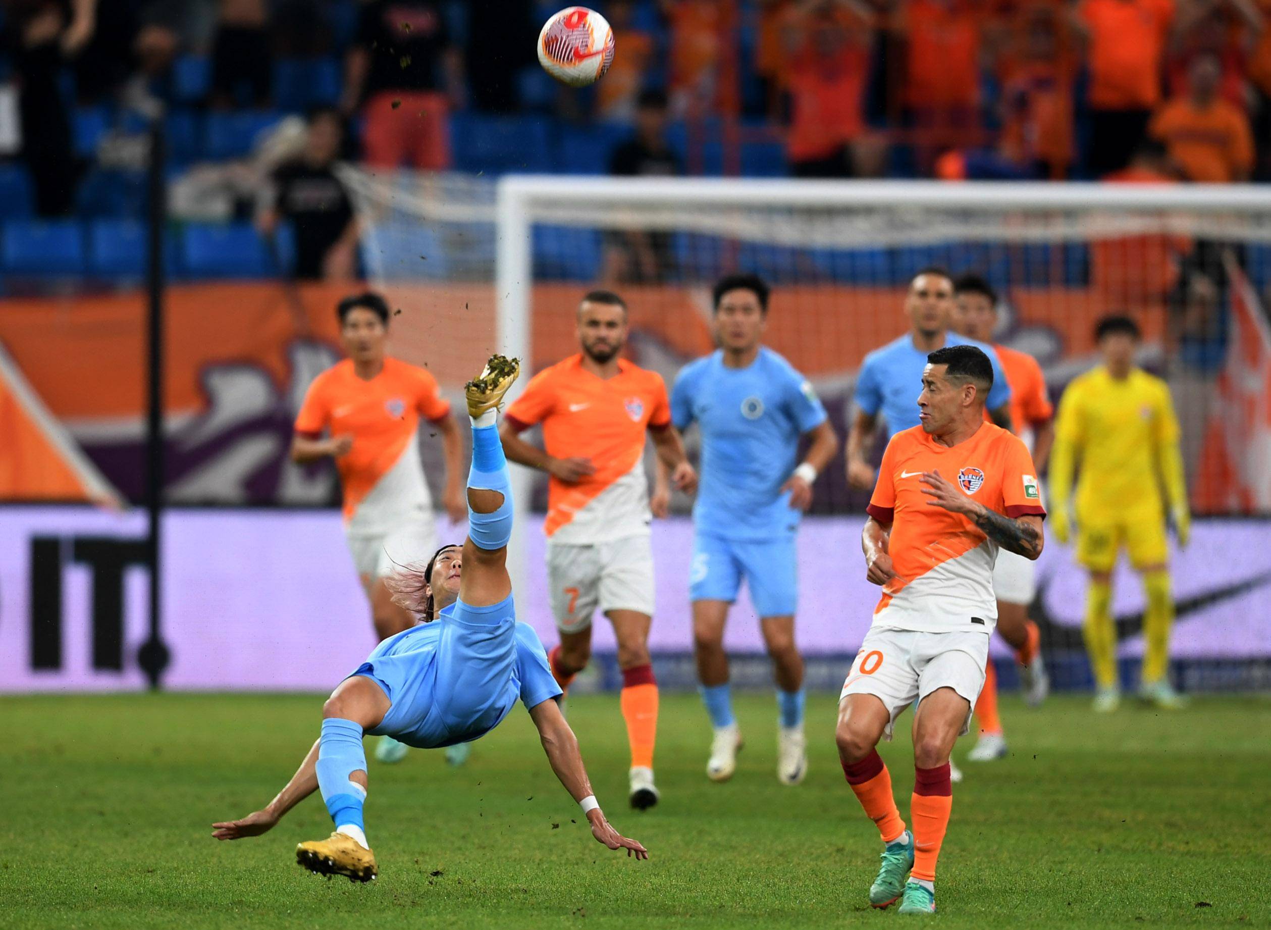 大球迷群体 大球迷群体