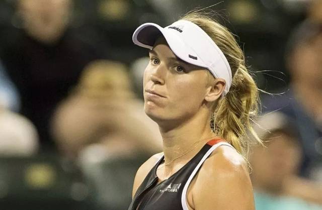 樹立了榜樣 樹立了榜樣