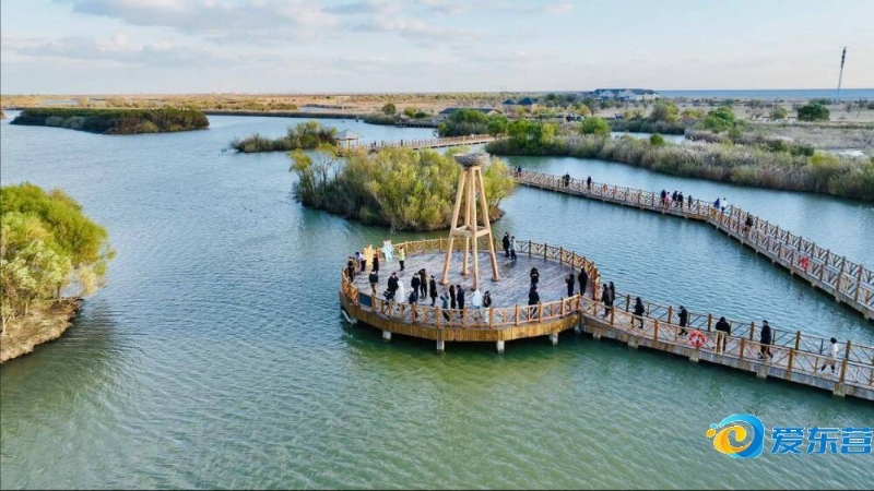 球助球队领 球助球队领